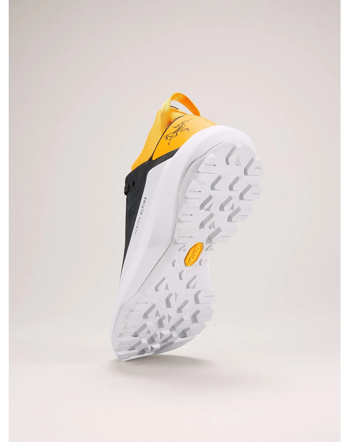 Men's Vertex Alpine Approach Shoes (Past Season)