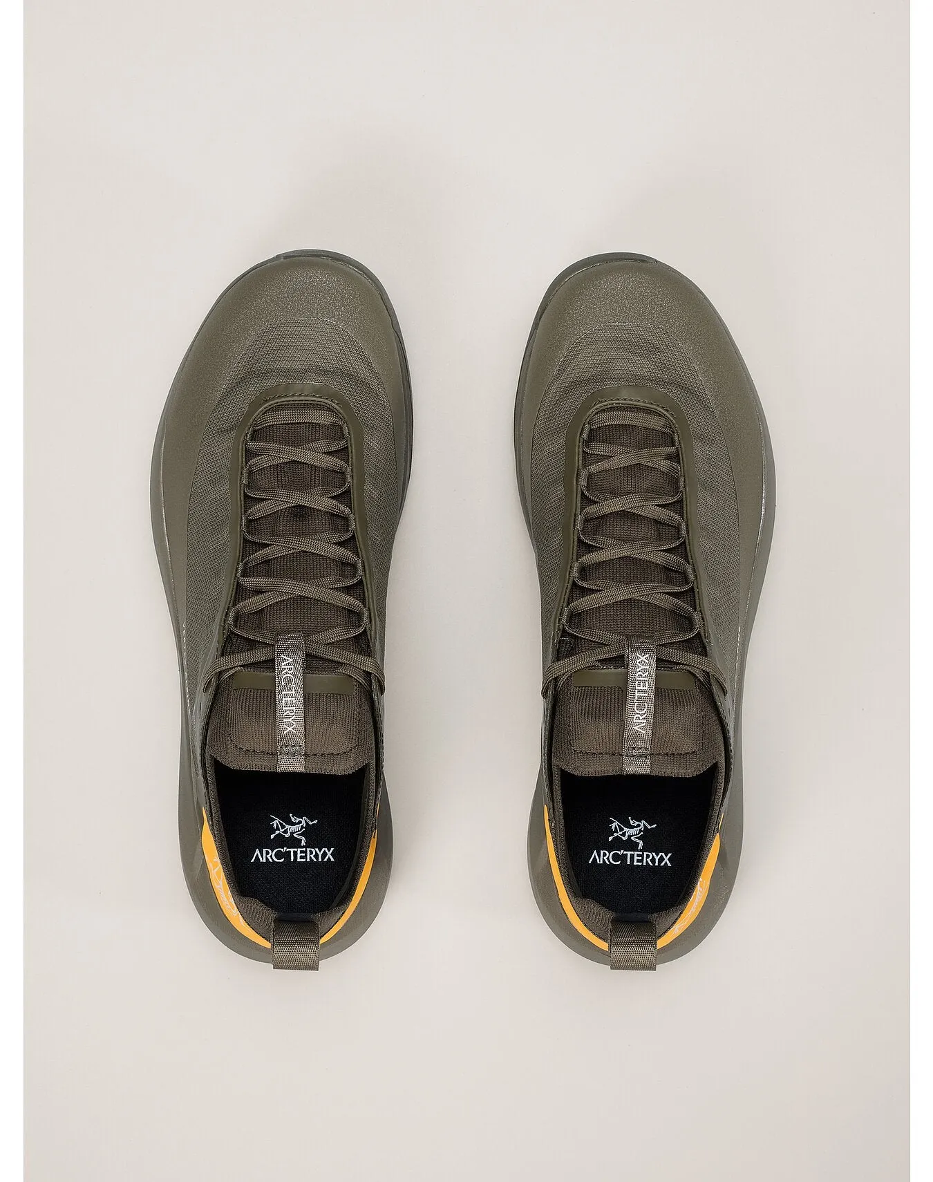 Men's Vertex Alpine GTX Approach Shoes (Past Season)