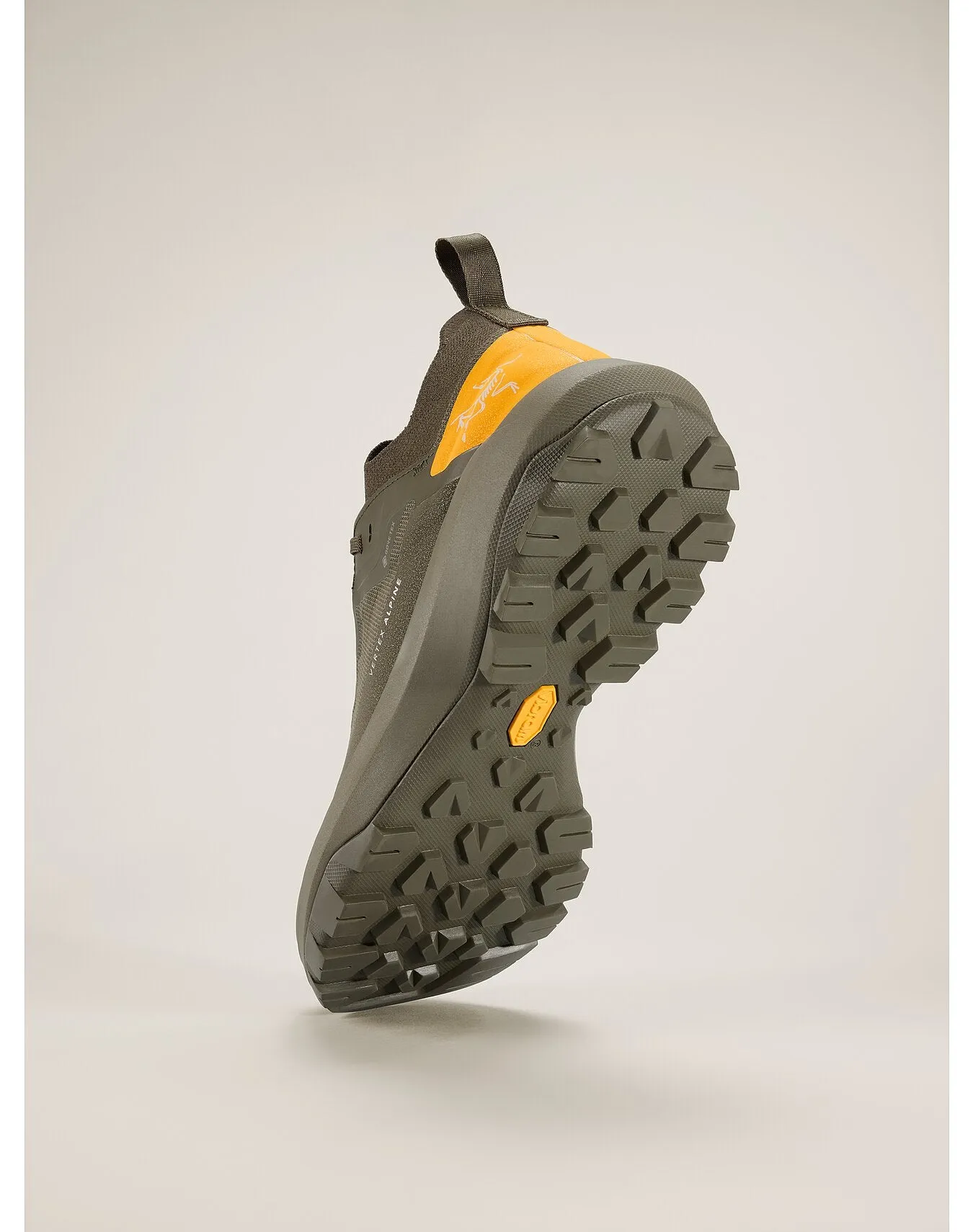 Men's Vertex Alpine GTX Approach Shoes (Past Season)