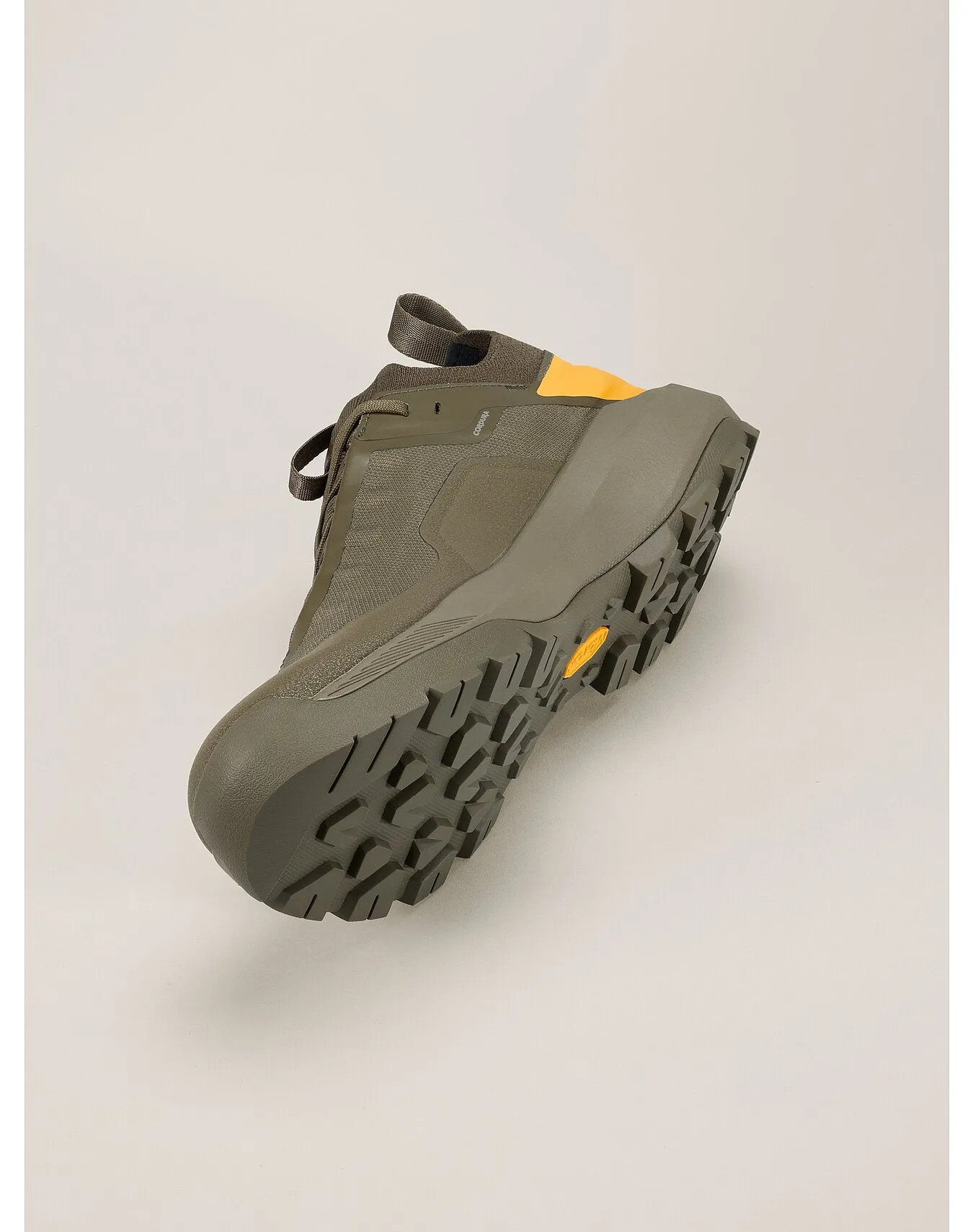 Men's Vertex Alpine GTX Approach Shoes (Past Season)