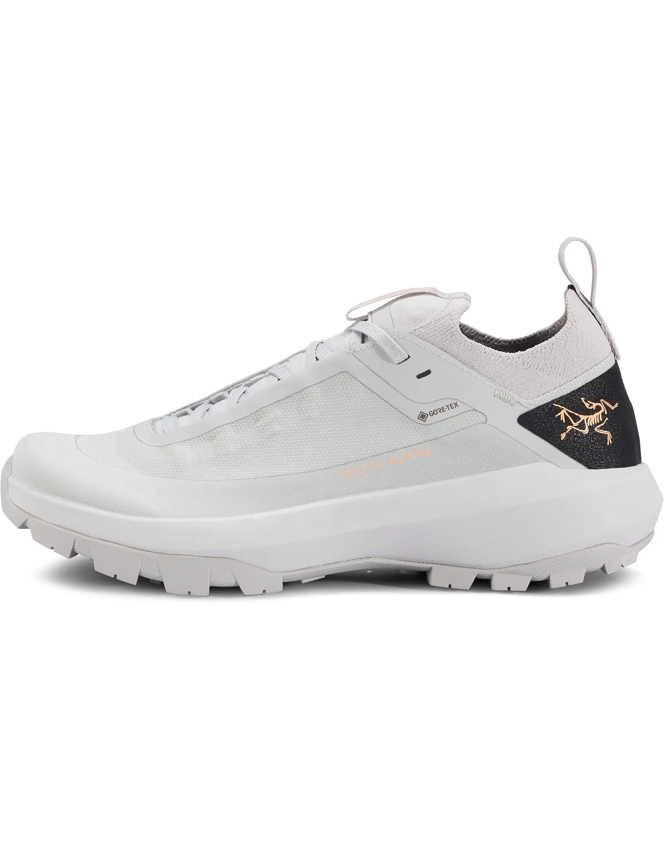 Women's Vertex Alpine GTX Shoes (Past Season)