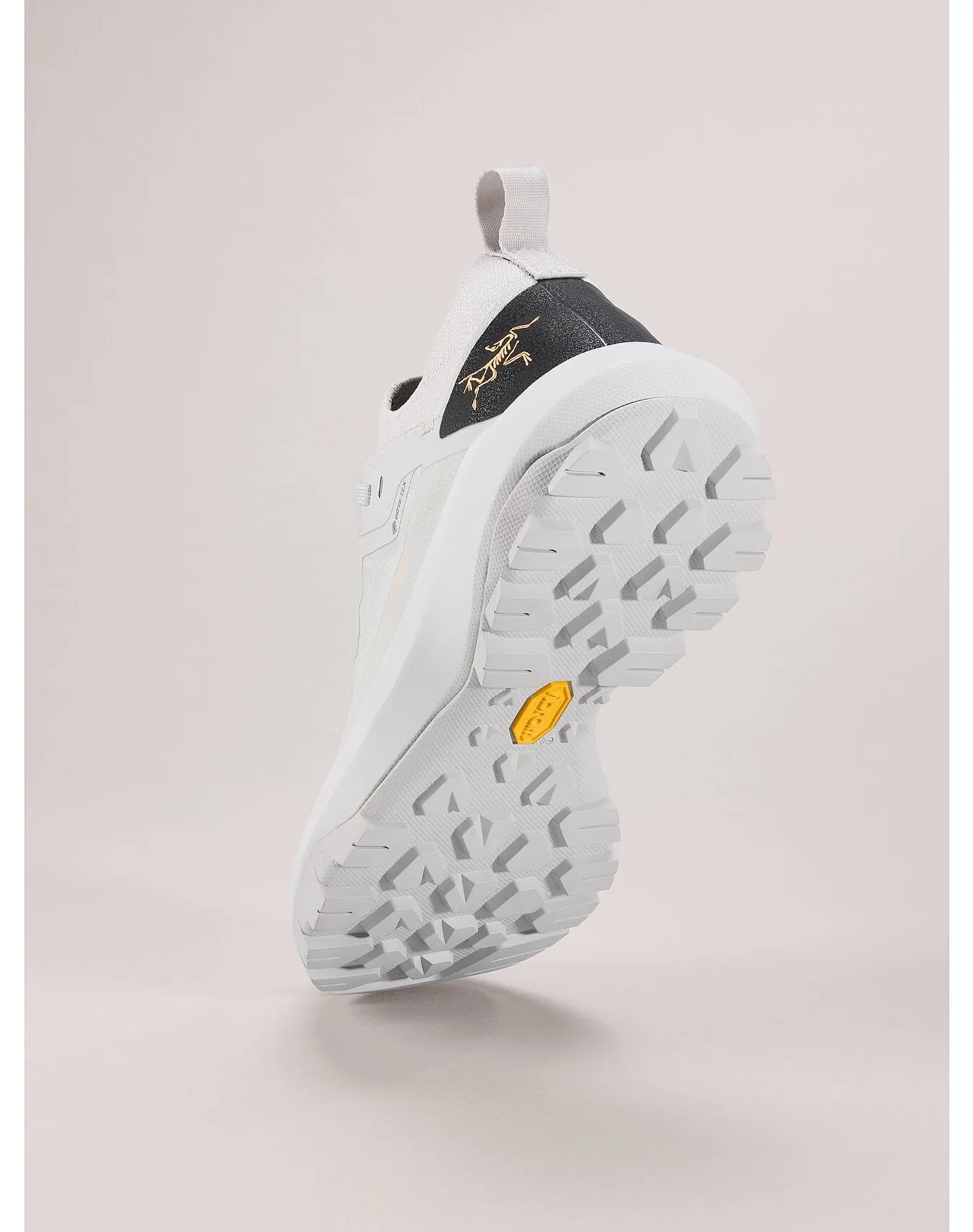 Women's Vertex Alpine GTX Shoes (Past Season)